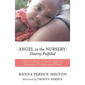 Angel in the Nursery: DESTINY FULFILLED: A Mother's Memoir on How She Stopped the Transmission of Intergenerational Trauma