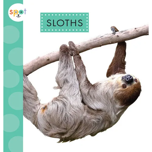 Sloths