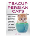 Teacup Persian Cats: Teacup Persian Cat Breeding, Where to Buy, Types, Care, Temperament, Cost, Health, Showing, Grooming, Diet and Much More Included