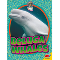 Beluga Whales