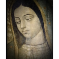 Vida de la Virgen (2): Según María Jesús de Ágreda en la Mística Ciudad de Dios