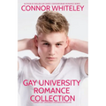 Gay University Romance Collection: 3 Sweet Gay University Romance Novellas
