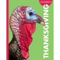 Curious about Thanksgiving
