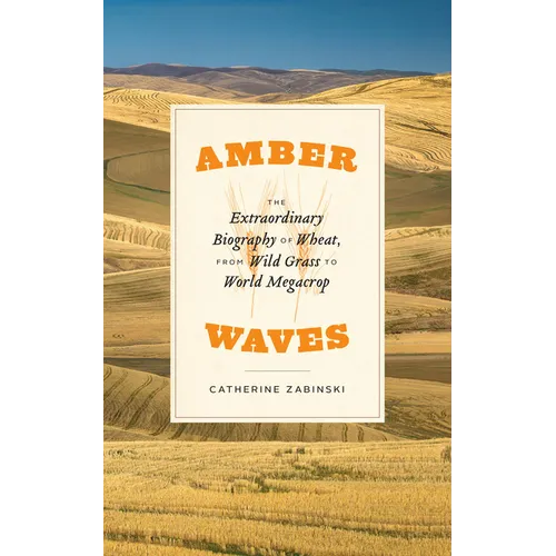 Amber Waves: The Extraordinary Biography of Wheat, from Wild Grass to World Megacrop