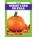What I See in Fall