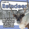 I am a Reindeer: A Children's Book with Fun and Educational Animal Facts with Real Photos!