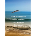 Ich habe meinen Krebs besiegt. Das können Sie auch!: 11 Jahre ist es her, dass der Krebs mein altes Leben auf den Kopf stellte. Ich bin seit Jahren fr