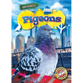 Pigeons