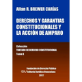 Derechos y garantías constitucionales y la acción de amparo. Tomo X. Colección Tratado de Derecho Constitucional