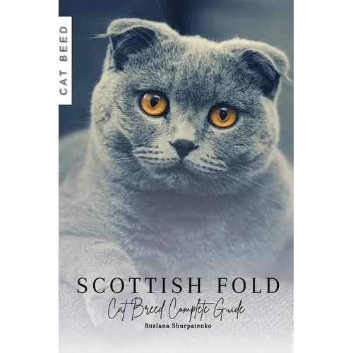 Scottish Fold: Cat Breed Complete Guide