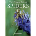 The Private Life of Spiders