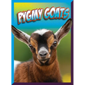Pygmy Goats