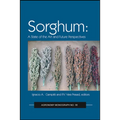 Sorghum: State of the Art and Future Perspectives