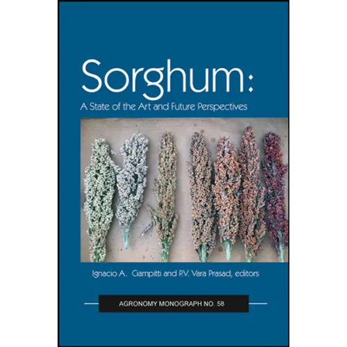 Sorghum: State of the Art and Future Perspectives