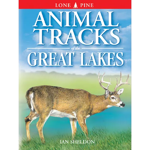 Animal Tracks of the Great Lakes