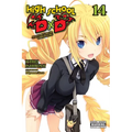 High School DXD, Vol. 14 (Light Novel): Volume 14