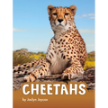 Cheetahs