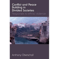 Conflict and Peace Building in Divided Societies: Responses to Ethnic Violence