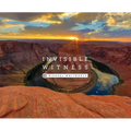 Invisible Witness