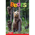 Bears