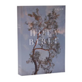 NRSV Catholic Edition Bible, Eucalyptus Paperback (Global Cover Series): Holy Bible