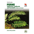 Ferns: Clubmosses, Quillworts and Horsetails of Britain and Ireland
