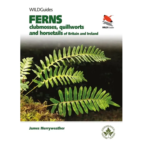 Ferns: Clubmosses, Quillworts and Horsetails of Britain and Ireland