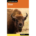 Bison