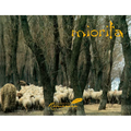 Miorita: An Icon of Romanian Culture