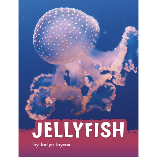 Jellyfish