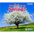 What Can You See in Spring?