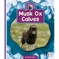 Musk Ox Calves
