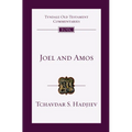 Joel and Amos: An Introduction and Commentary Volume 25