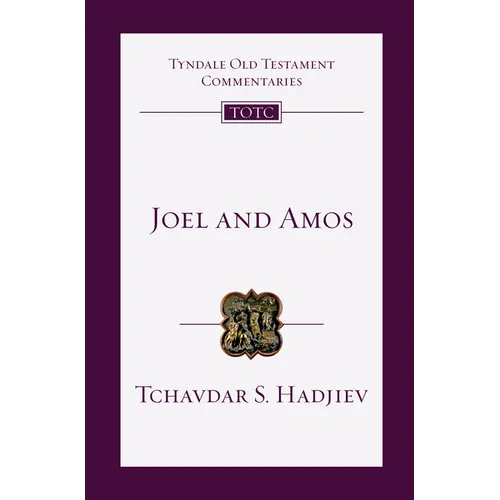 Joel and Amos: An Introduction and Commentary Volume 25