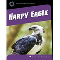 Harpy Eagle
