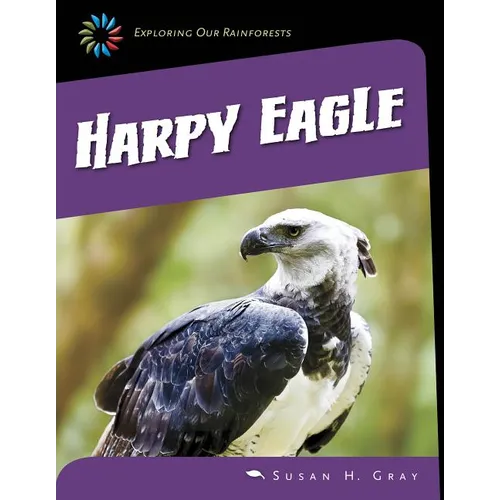 Harpy Eagle