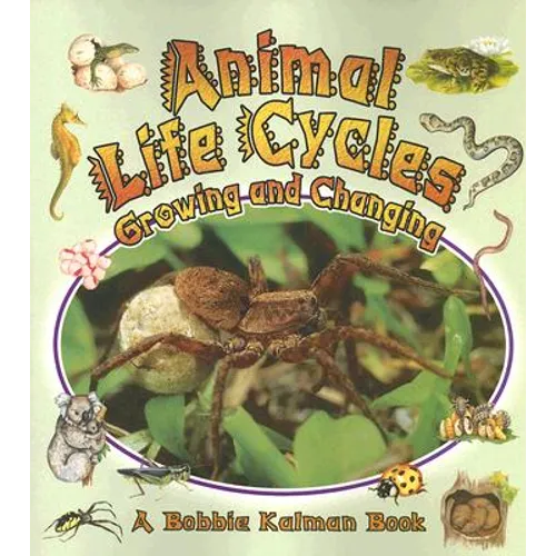 Animal Life Cycles: Growing and Changing