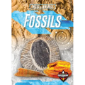 Fossils