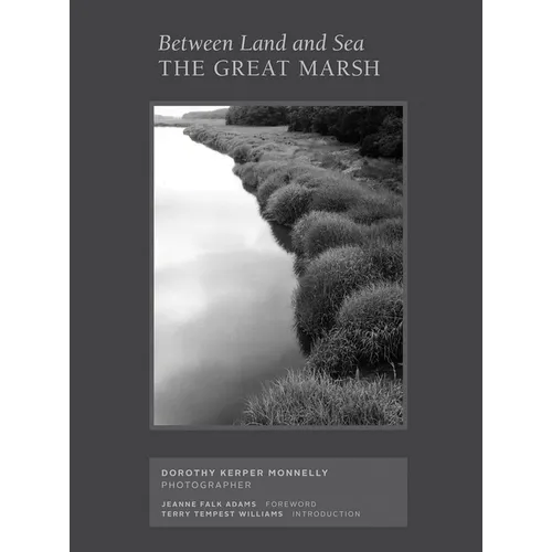 Between Land and Sea: The Great Marsh: Photographs by Dorothy Kerper Monnelly