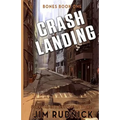 Crash Landing: Survival in a dystopian world