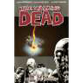 Walking Dead Volume 9: Here We Remain
