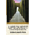 LifeQuest: A Journey Through the Maze of Life
