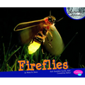 Fireflies