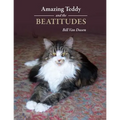 Amazing Teddy and the Beatitudes