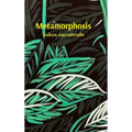 Metamorphosis: The Christmas Edition
