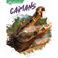 Caimans