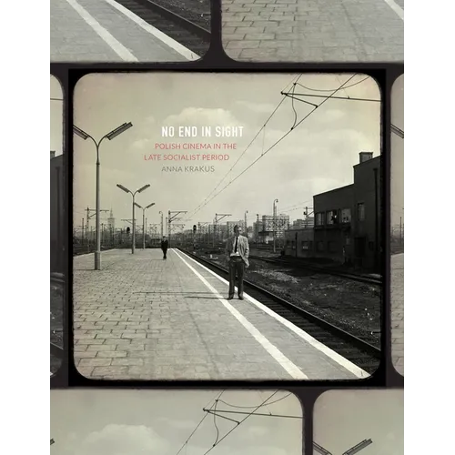 No End in Sight: Polish Cinema in the Late Socialist Period