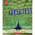 Feathers (Learn About: Animal Coverings)