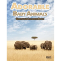 Adorable Baby Animals Grayscale Coloring Book: 32 Sweet Pictures to Color Featuring Baby Camels, Pigs, Ducks, and Much More