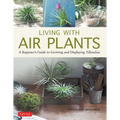 Living with Air Plants: A Beginner's Guide to Growing and Displaying Tillandsia